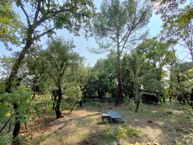 terrain Sud (Petit)