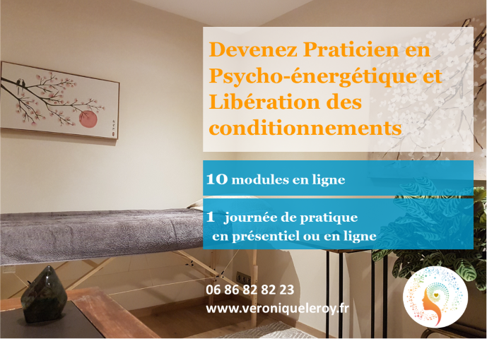modules praticien en ligne (Petit)